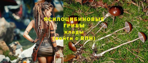 прущая мука Богданович